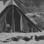 The Corbett camp after a tiger hunt